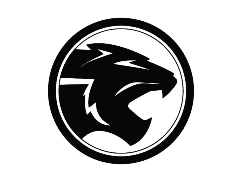 Wycieraczki Proton